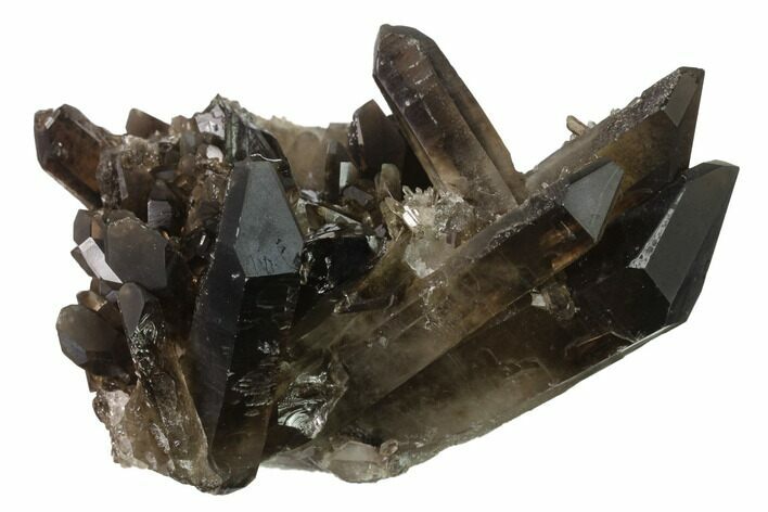 Dark Smoky Quartz Crystal Cluster - Brazil #138466